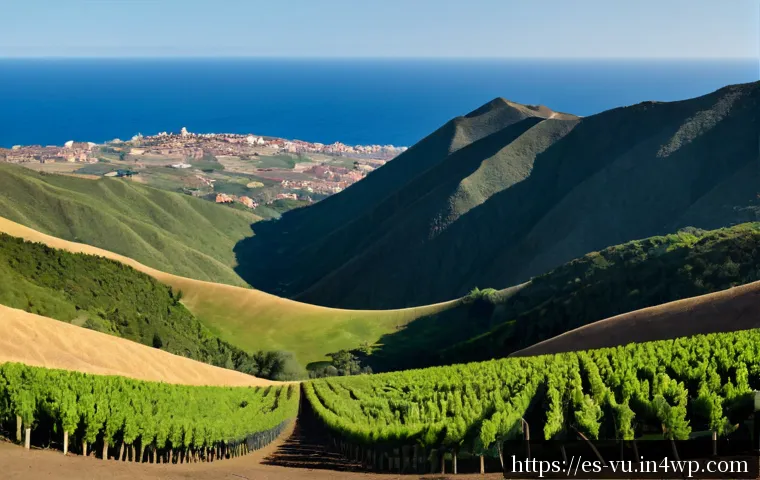 Cómo mantener un huerto ecológico productivo durante años: suelo, riego y decisiones de inversión 4 유기농 정원에서의 장기적인 성공 전략 관련 이미지 2